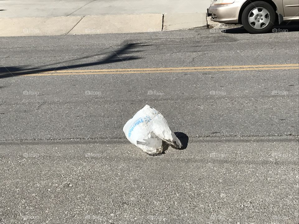 Bag in the road