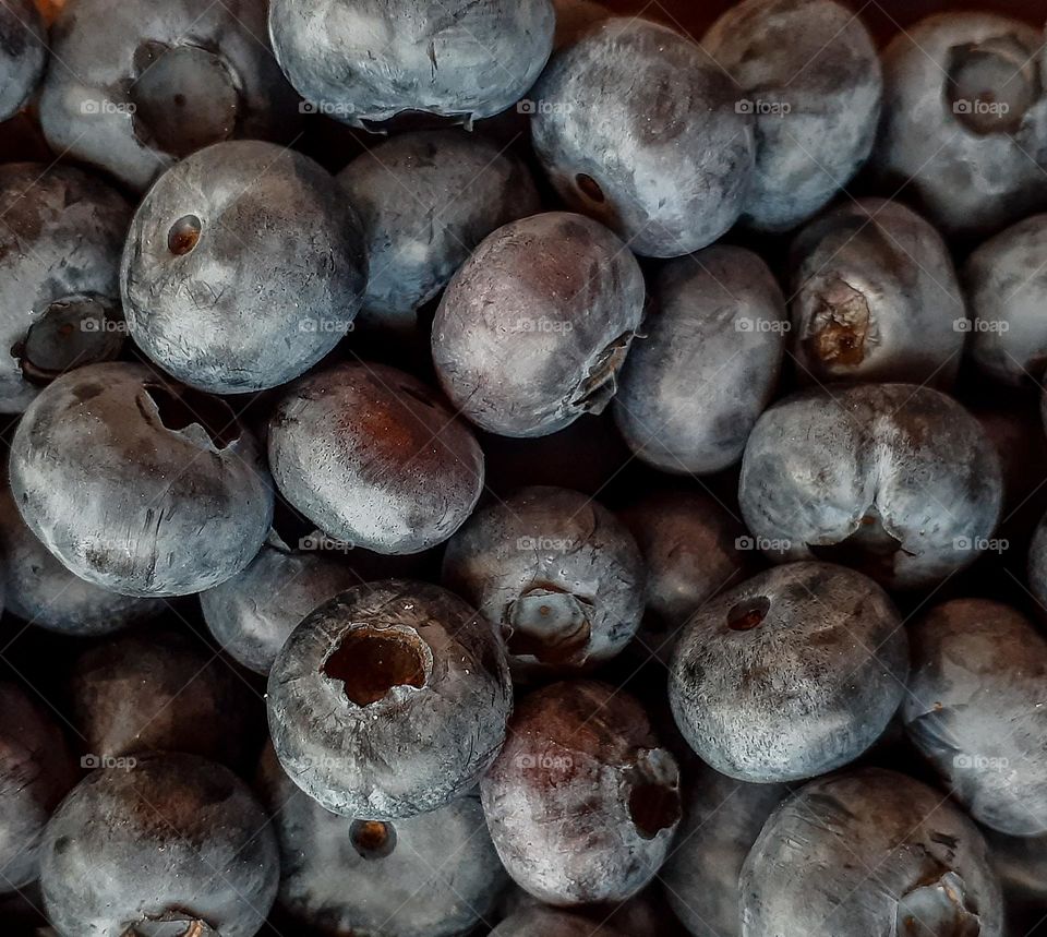 macro photo of blue berries, namely rowan