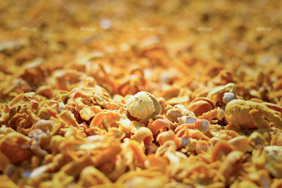 Full frame of dried food