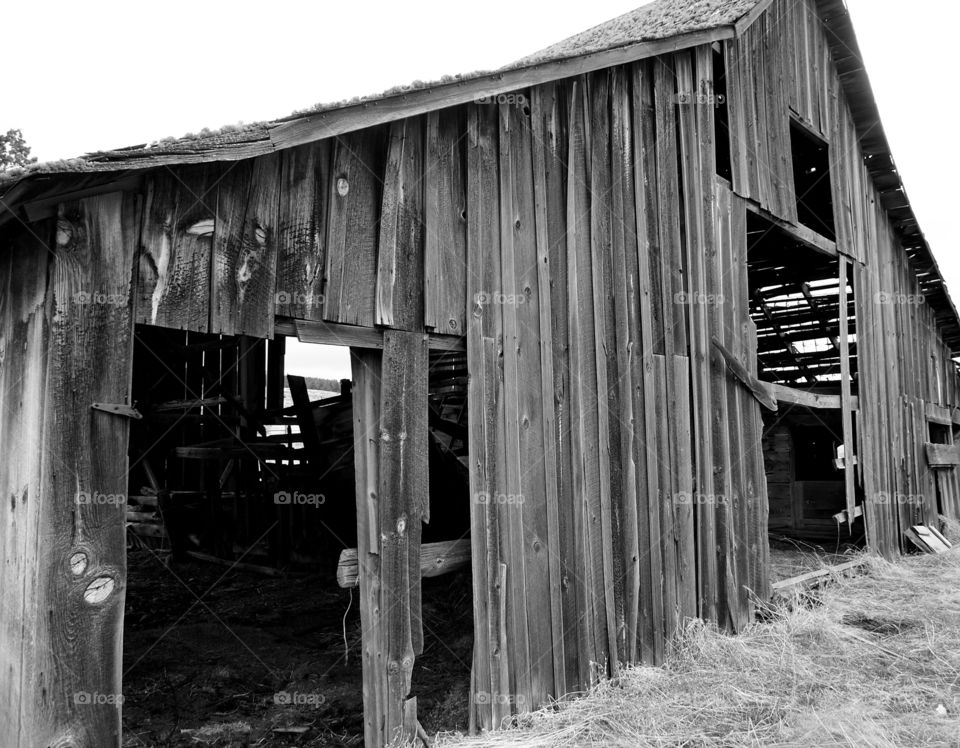 An old weathered wooden barn in rural Eastern Oregon still standing after all this time. 