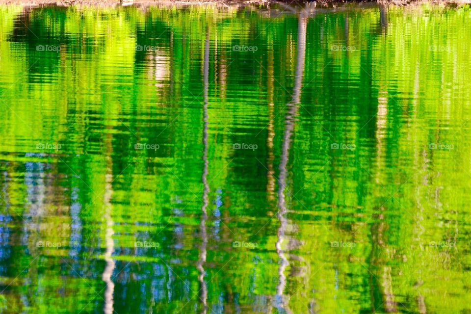 Beautiful lake and reflection 