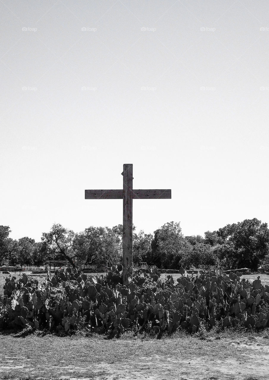 The cross and cacti