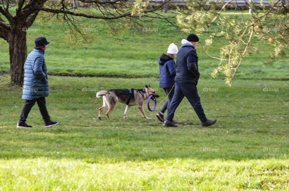 Walking with dog.