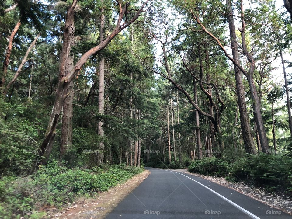 Remember that the journey is always more important than the destination. 