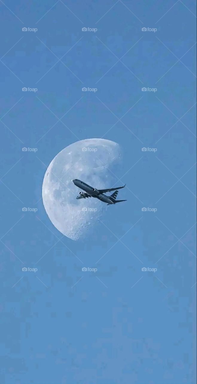 A very beautiful picture, and there is no better picture than it. There is no better picture of green herbs and colorful, red and white roses than it. Glory be to God, the natural and picturesque view, and there is no more wonderful picture than it.