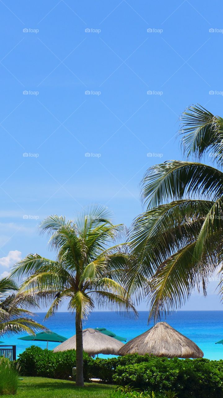 Scenic view of beach