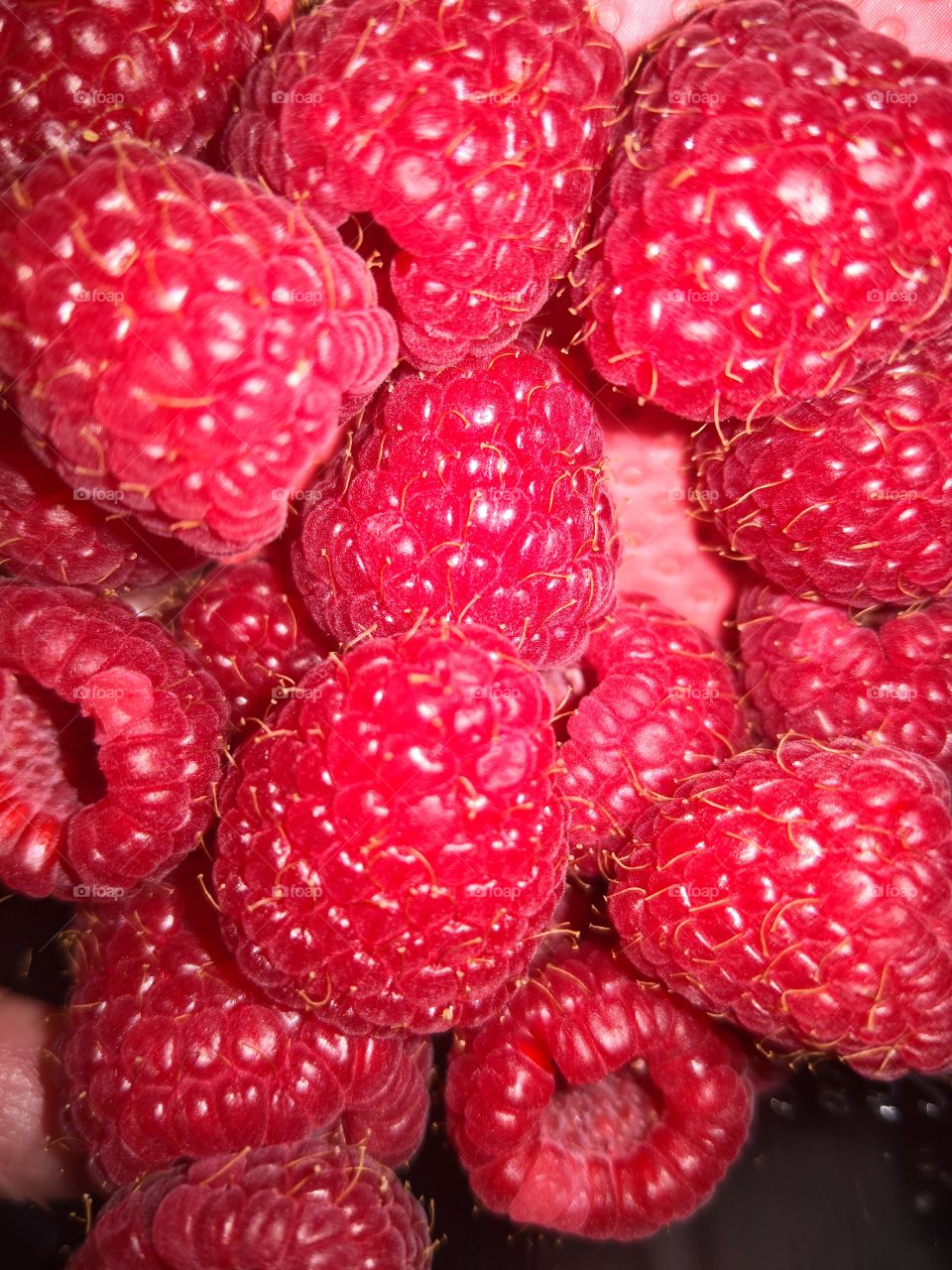 Juicy Raspberries