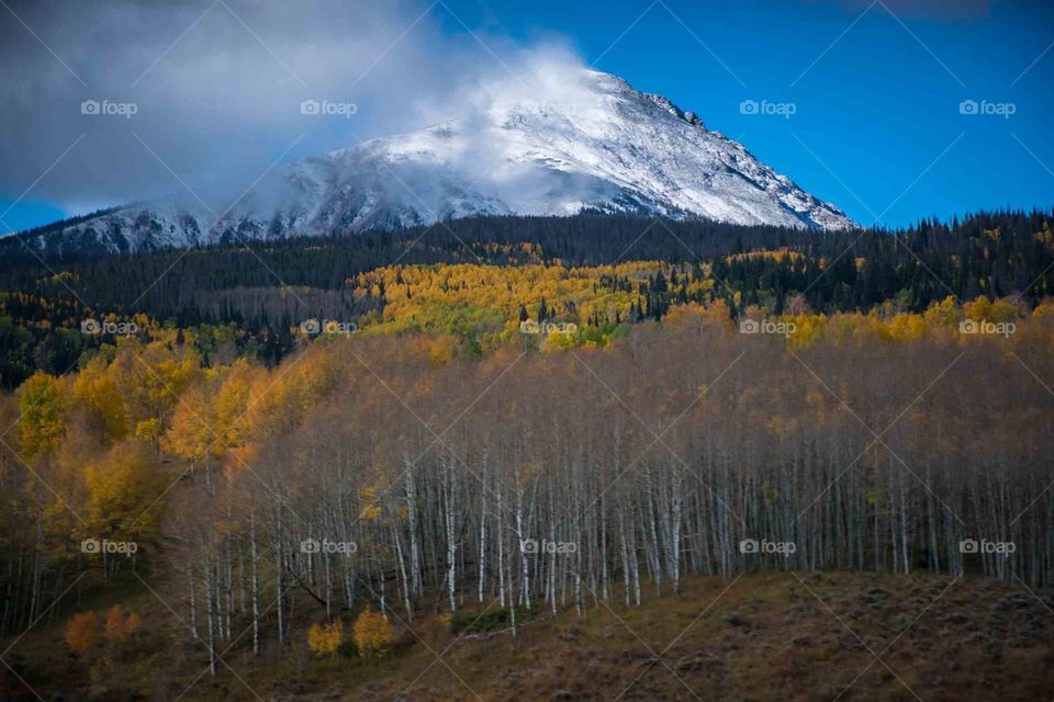 Winter mountain landscapes 