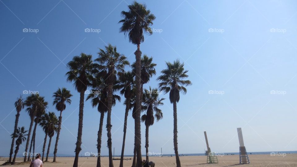 Santa Monica Beach