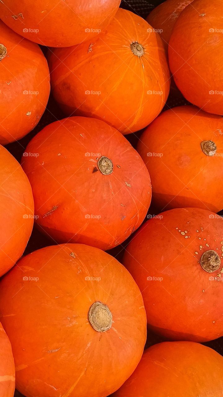 fresh pumpkins
