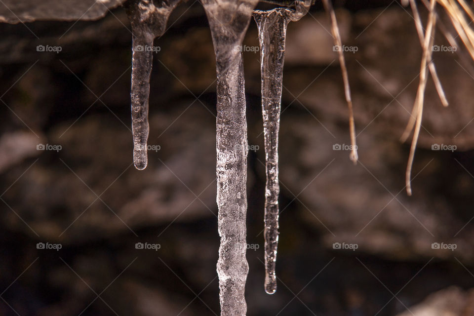 Spring. icicles