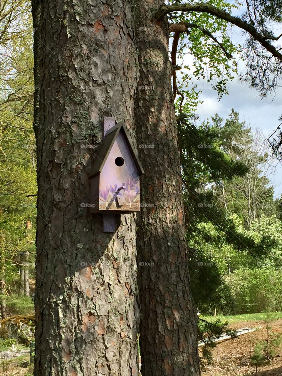 Bird house