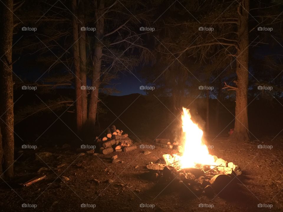Blazing campfire 