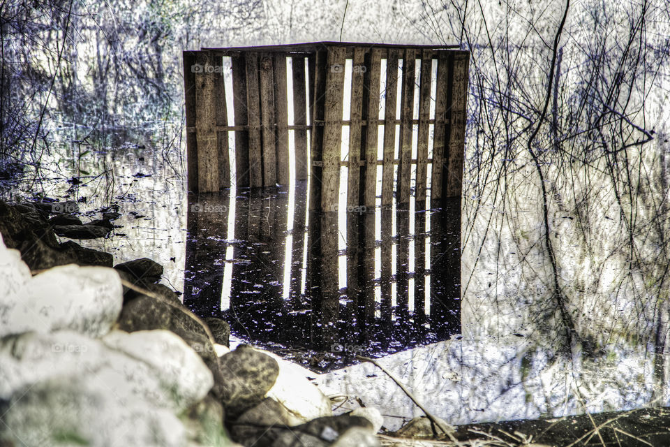One Side Twice. Two barking hound dogs approached me under this backroad overpass in Georgia. I hear a sharp whistle and they disappear.