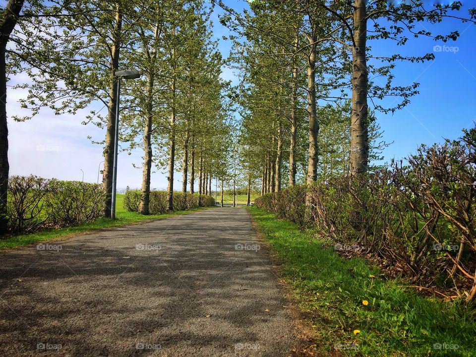 The path often travel and overlooked.  The walk is not to get to a destination it’s to move from moment to moment in quiet grace.