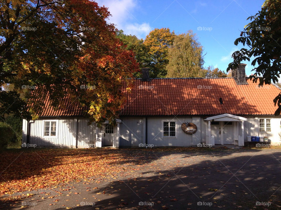 sweden tree house autumn by jonekl