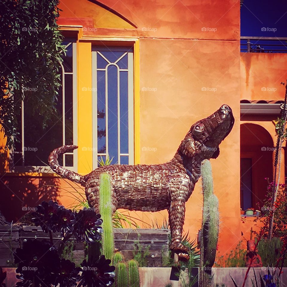 Dog sculpture in beautiful cacti garden