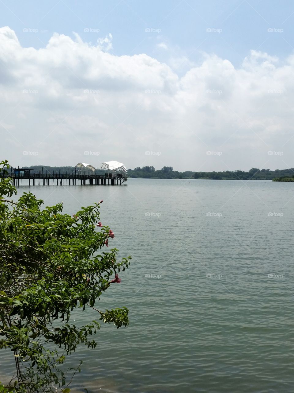 By the waters. Peaceful and calm waters