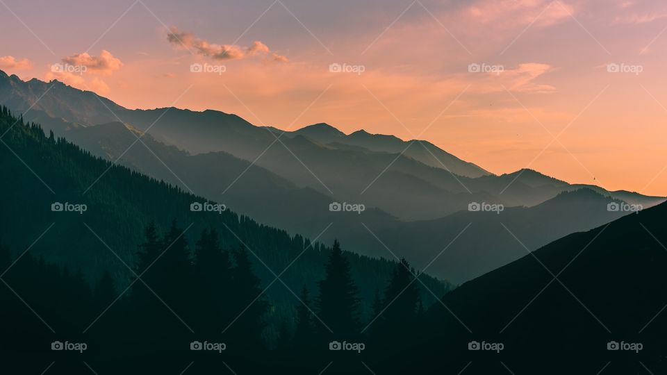 Mountain landscape with green fir-trees and red sunset