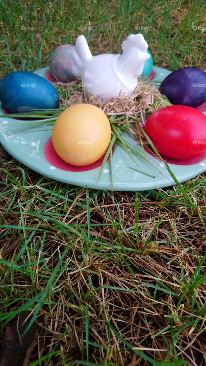 Egg, Easter, Nest, Food, Grass