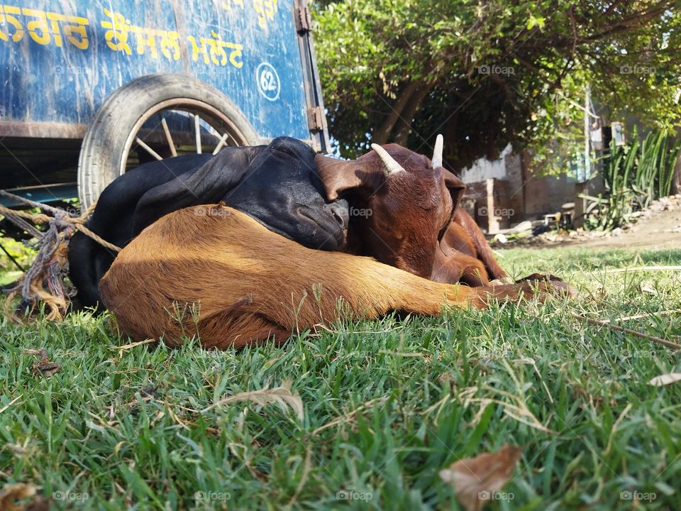 their is no color of love❤