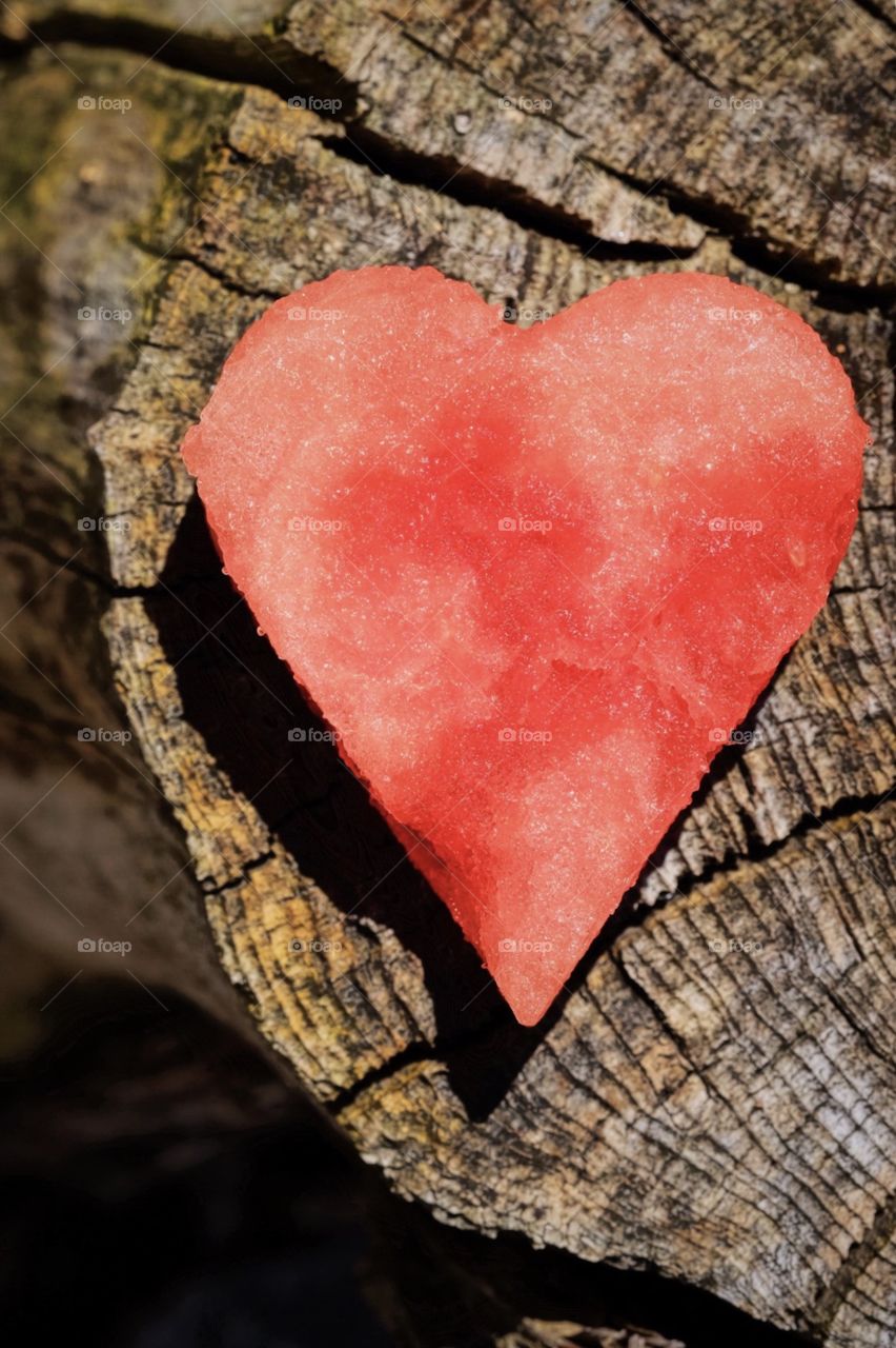 Watermelon Heart On A Log, Watermelon Heart, Pink Heart, Eat Your Heart Out, Delicious Watermelon, Summertime Fruits 