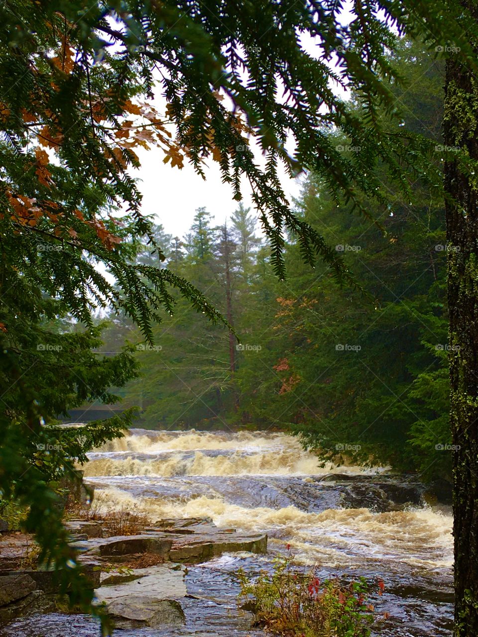 Jackson Falls New Hampshire 