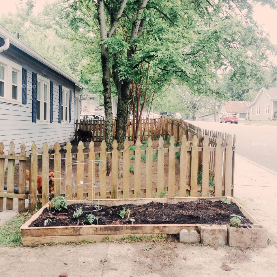 Baby garden