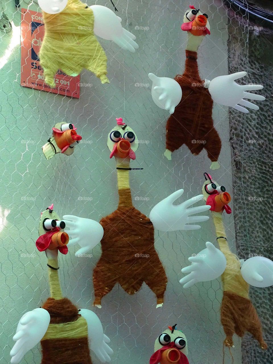 Question of chickens