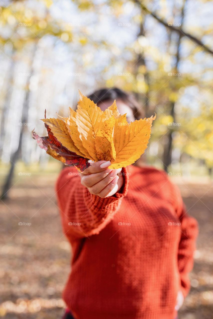 autumn lifestyle