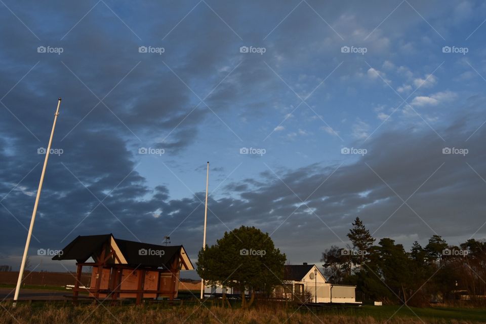 No Person, Daylight, Sky, Landscape, Tree