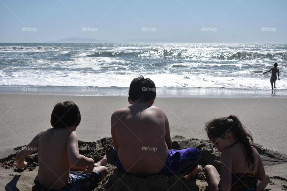 Beach monkeys 