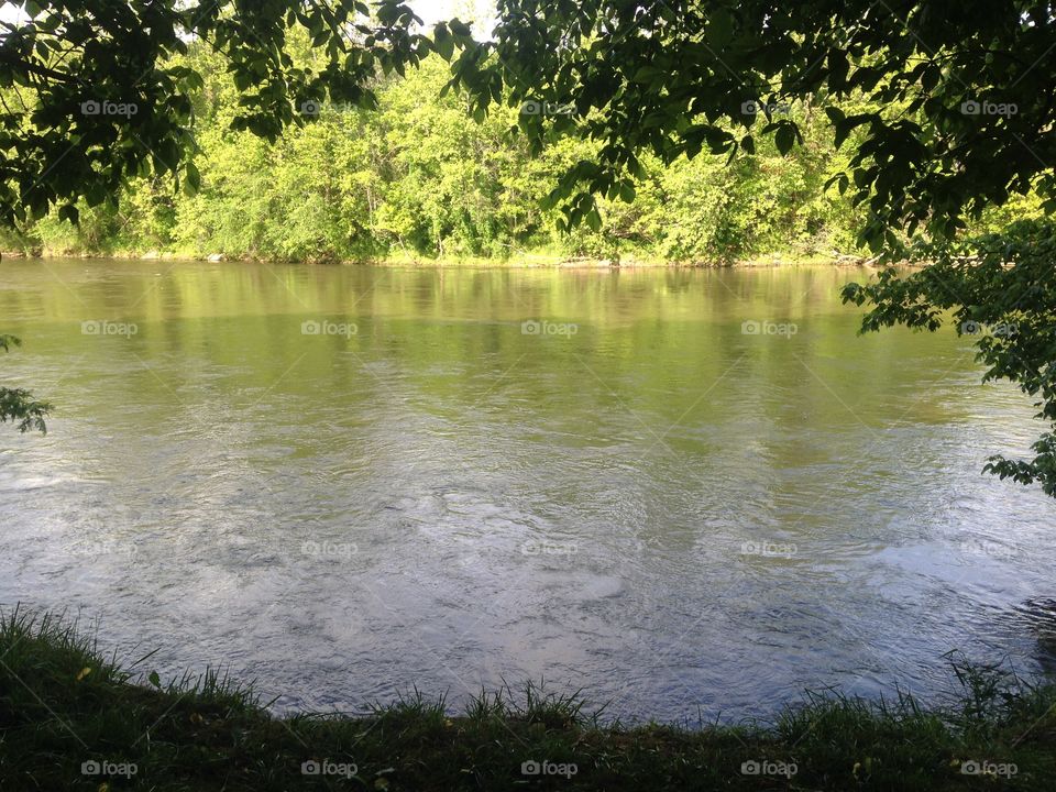 French Broad River. A photo of the French Broad River taken at the French Broad River Park in Asheville, North Carlolina in the spring. 