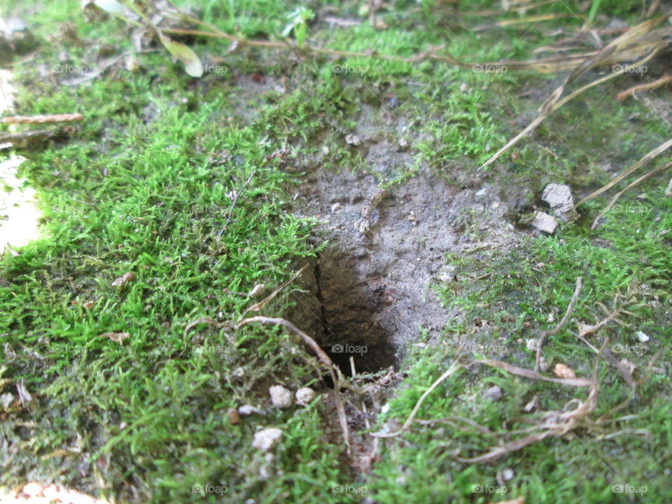 Hole in the Ground