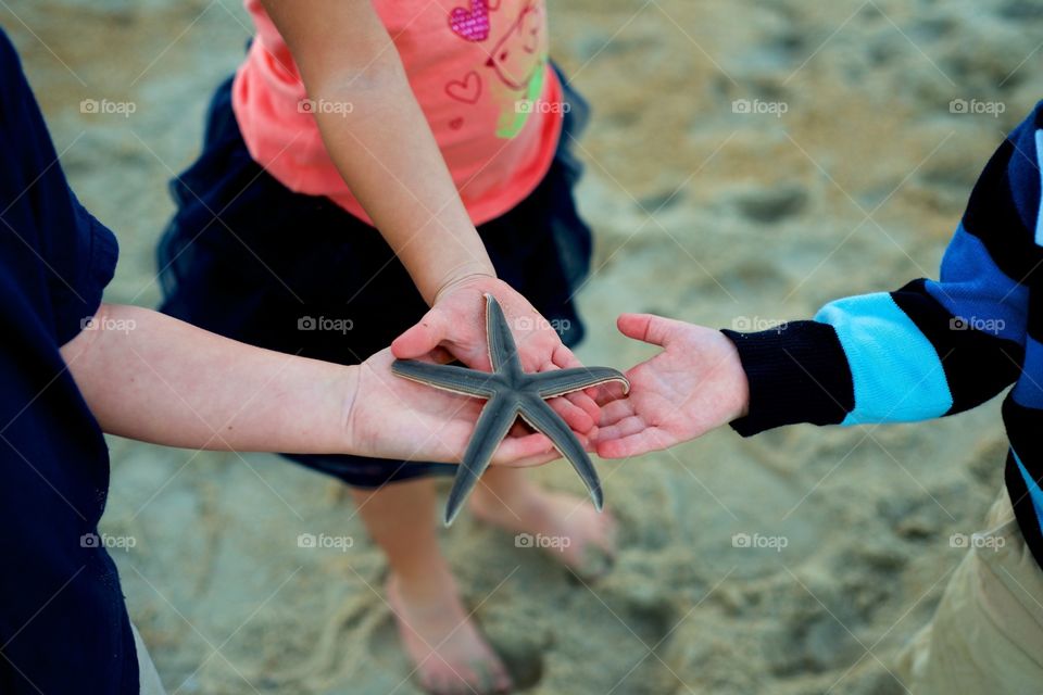 Kids holding a starfish at the beach