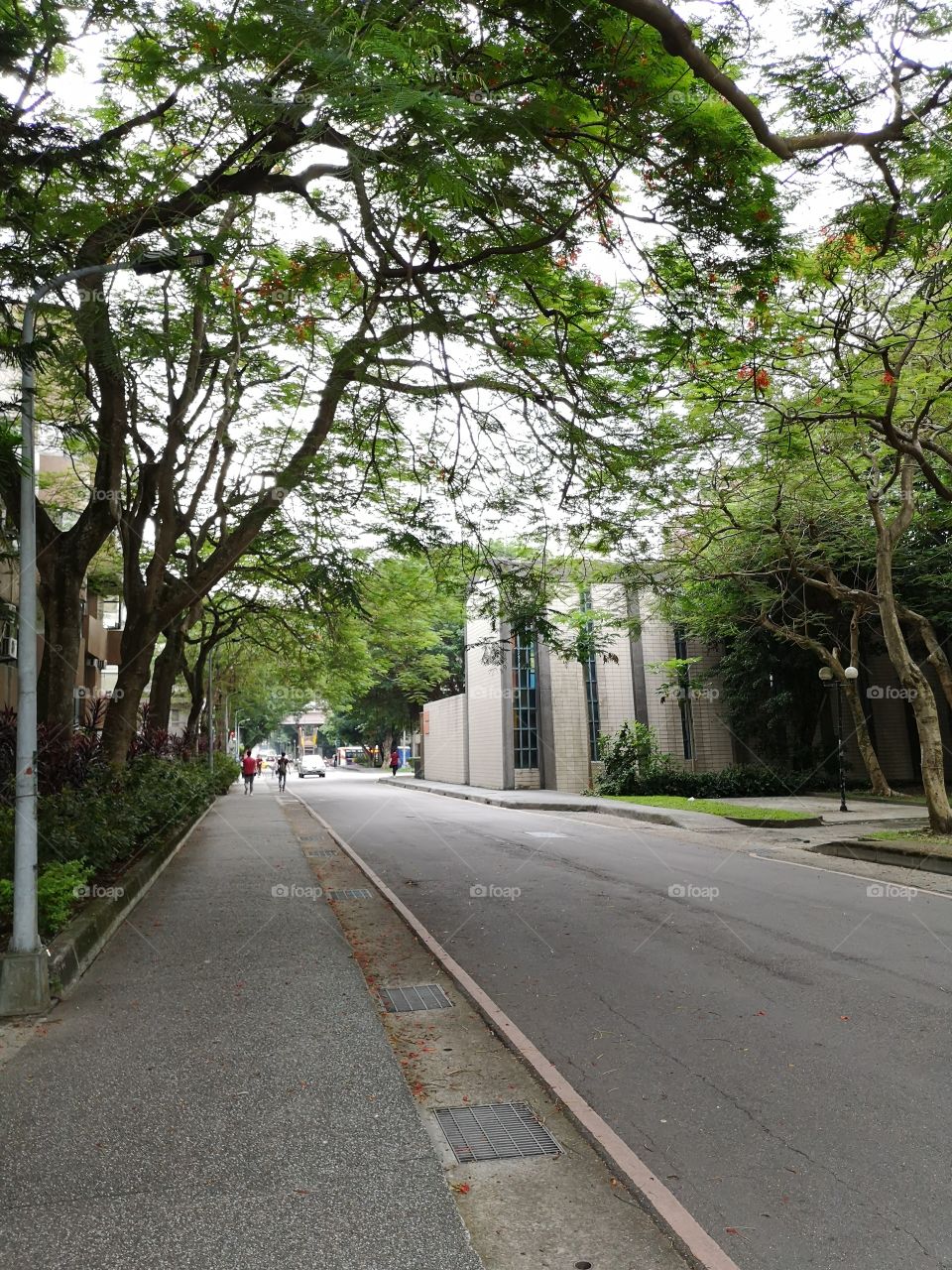 Walking at  the National Taiwan University