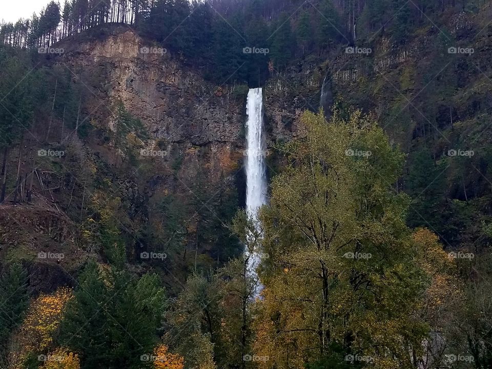 Oregon Waterfall