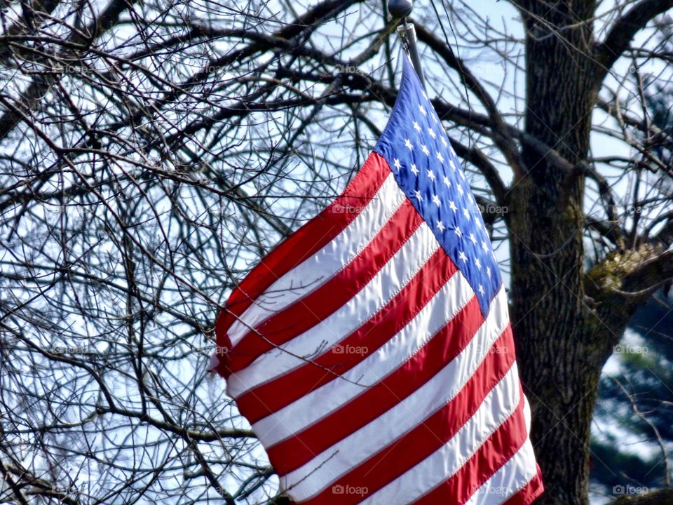 Flag flying in the wind