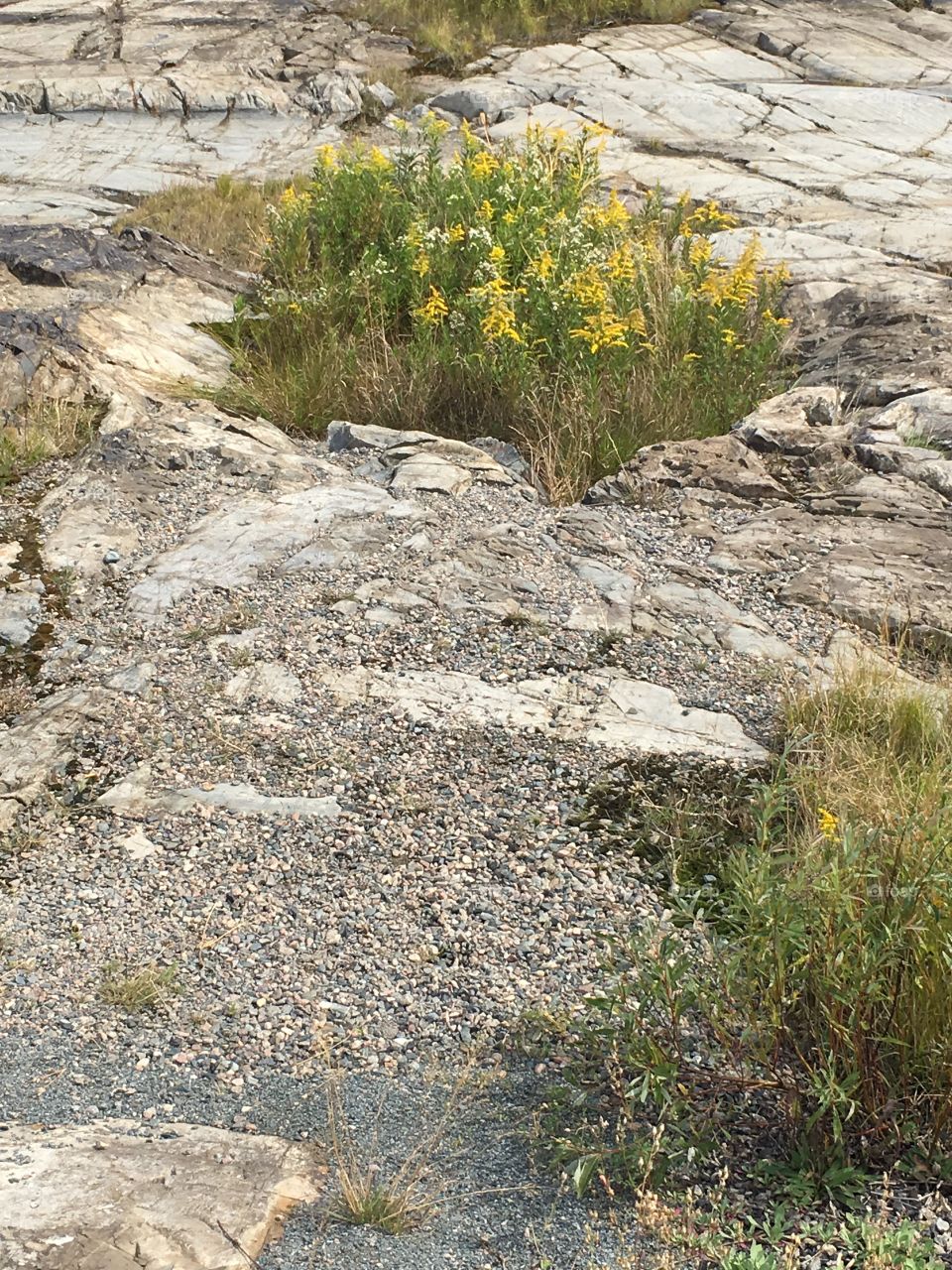 Rocks around the big nickel in Sudbury Ontario 