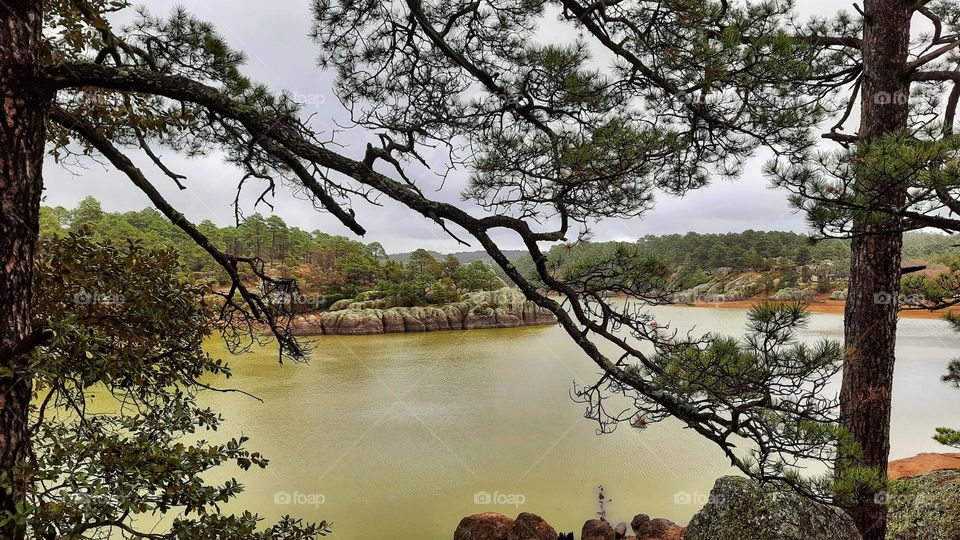 Beautiful lake of Arareco, lake, landscape, nature, colorful, water,Chihuahua, branches