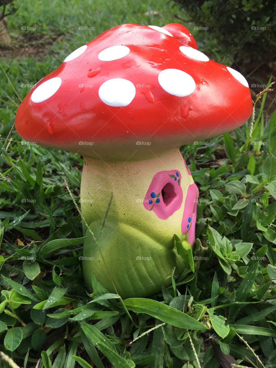 A casinha em forma de cogumelo no jardim está bem bonita. A colocamos no meio do gramado, junto às flores. Aparecerá algum Smurf para morar lá?  🍄