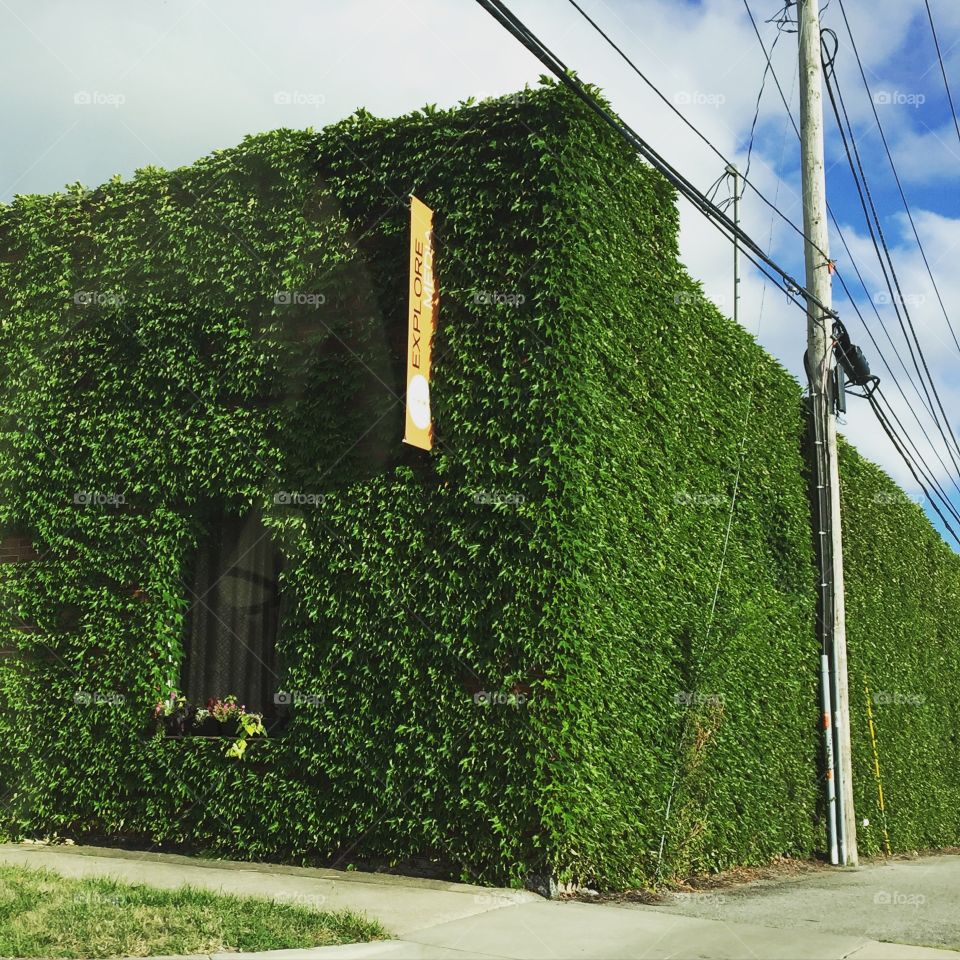 Ivy building in downtown South Bend, Indiana