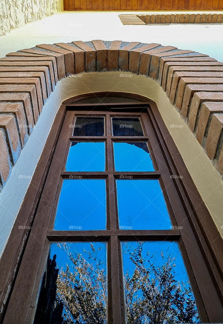 From the ground up: Wooden window with glass reflecting the sky and plants.