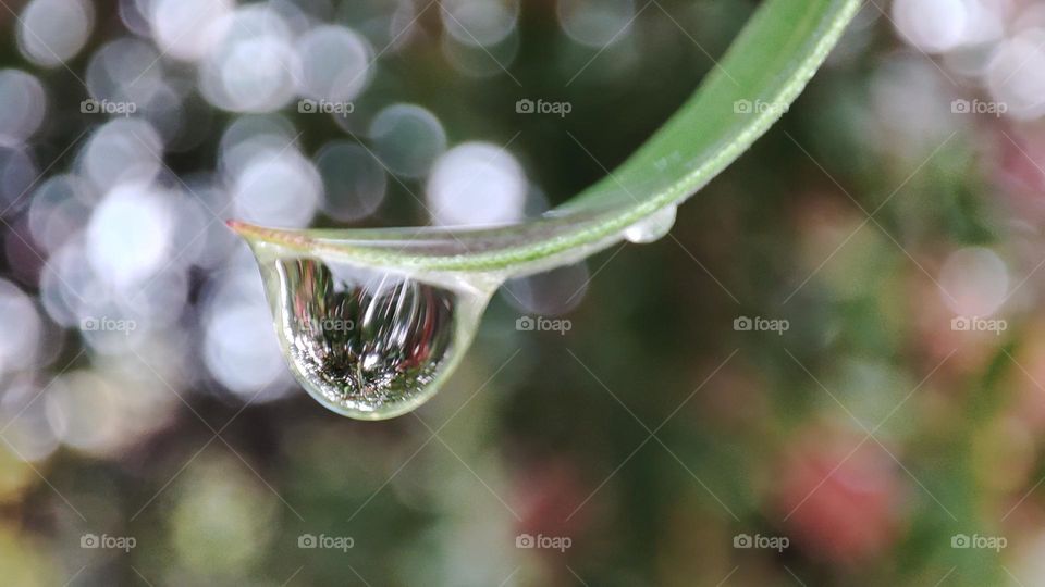 Droplet