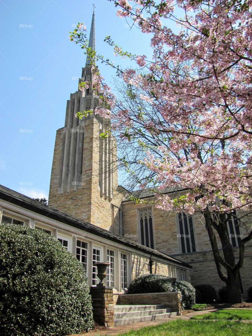 Steeple from the Courtyard