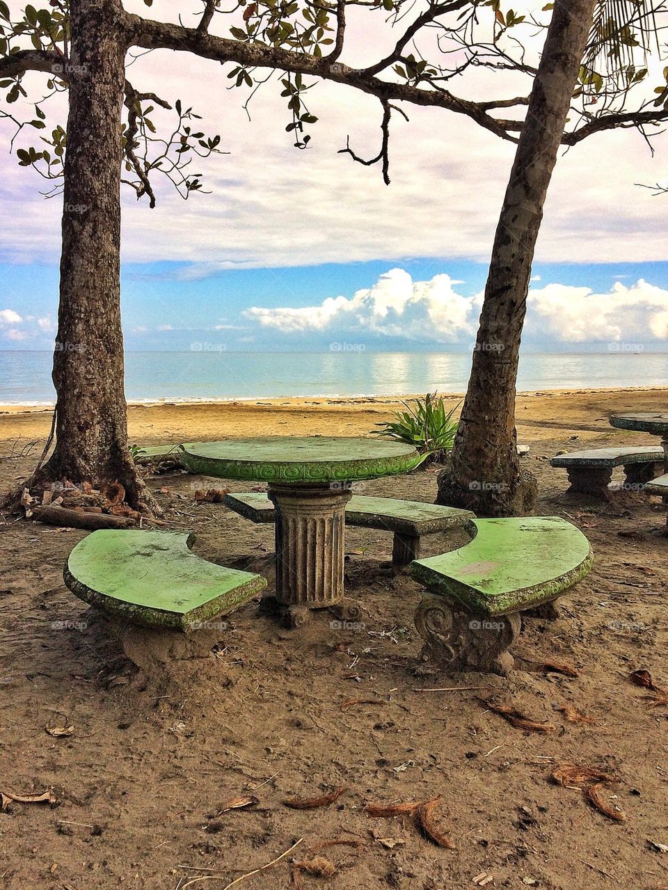 Pic Nic by the sea