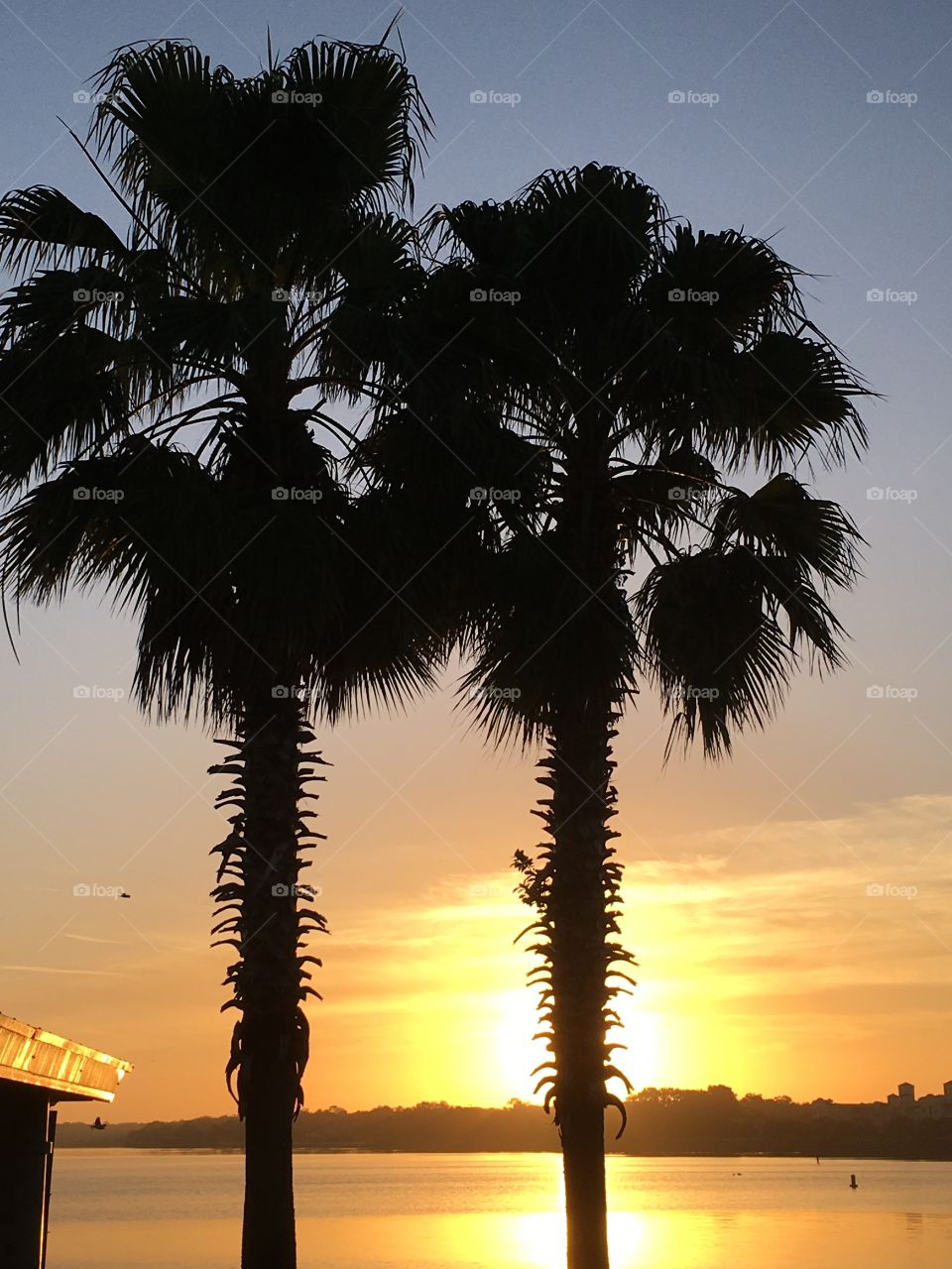 Beach, No Person, Sunset, Sun, Tropical