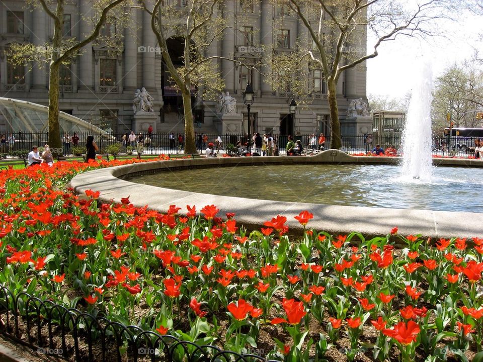 Fountain at Bowling Green NY NY