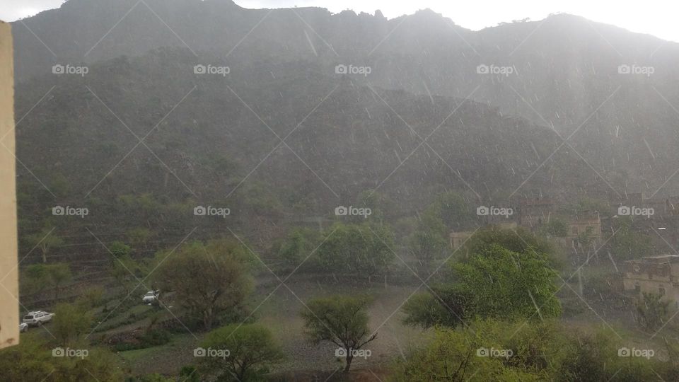 raining wither - Taiz