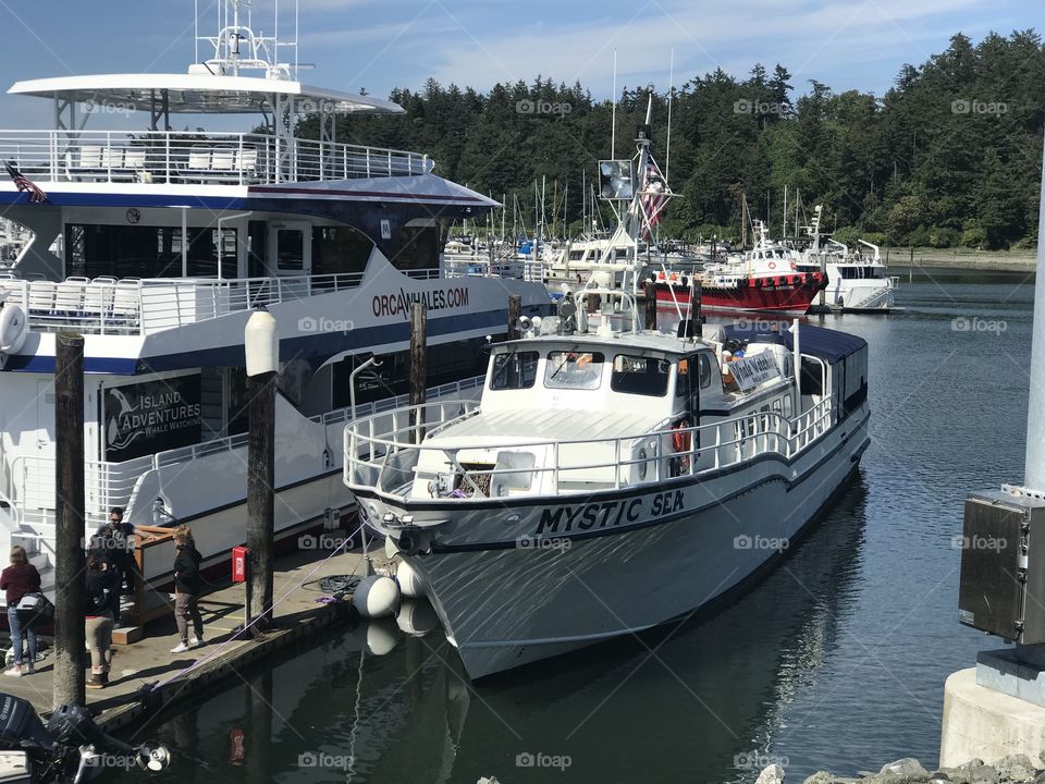 Mystic Sea Charters Vessel just in from a beautiful day cruising the San Juan Islands